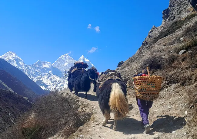 Trek camp de base de L’Everest